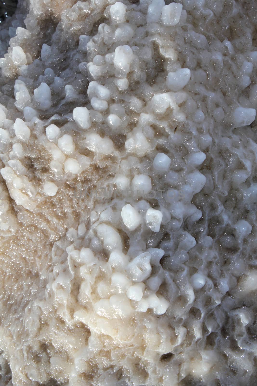 Dead Sea coastline, whit salt crystals and formations in the sand. Jordan