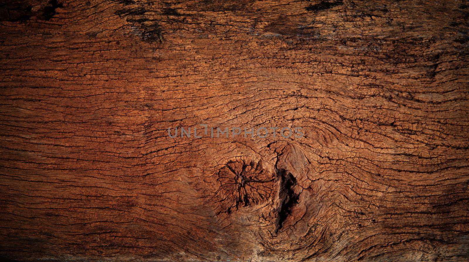 beautiful  nature  texture of bark wood use as natural backgroun by khunaspix