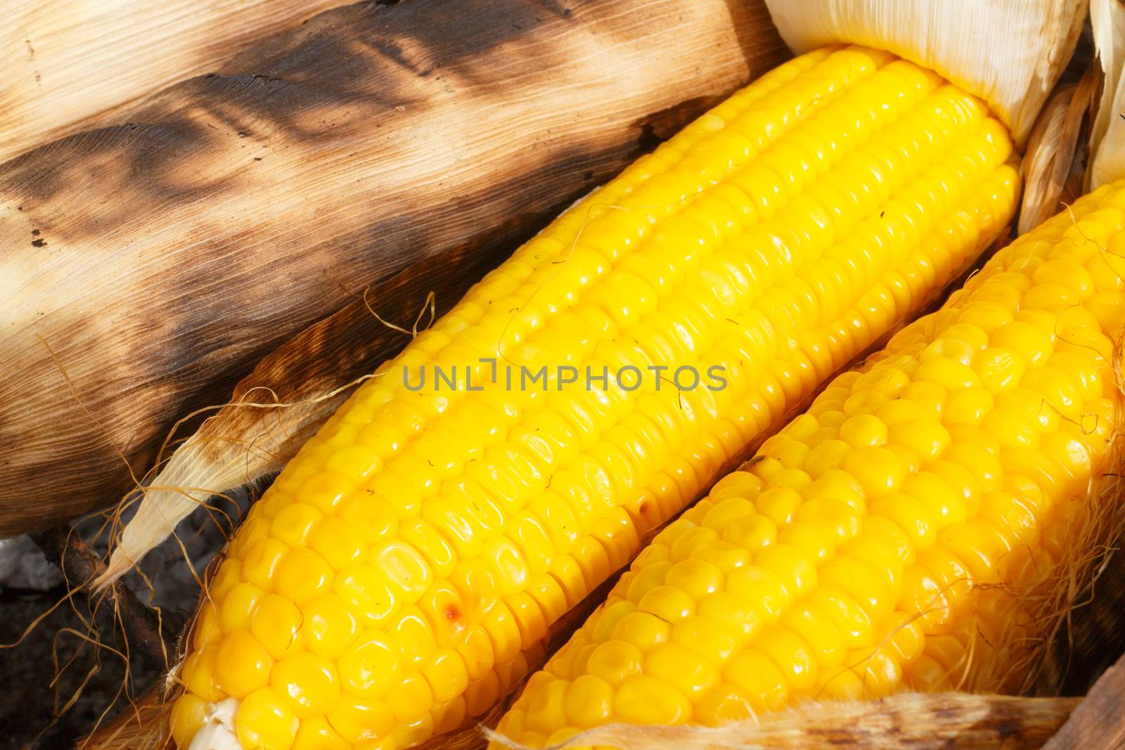 grilled corns