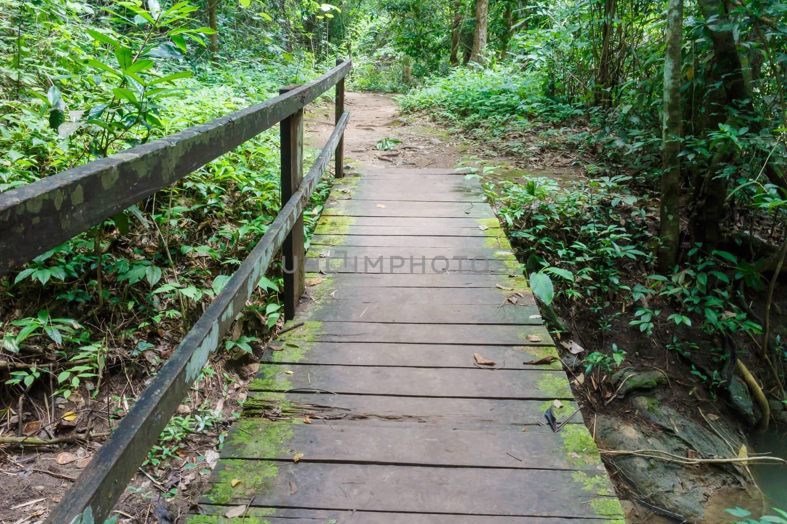 Wooden bridge in the forest by panyajampatong
