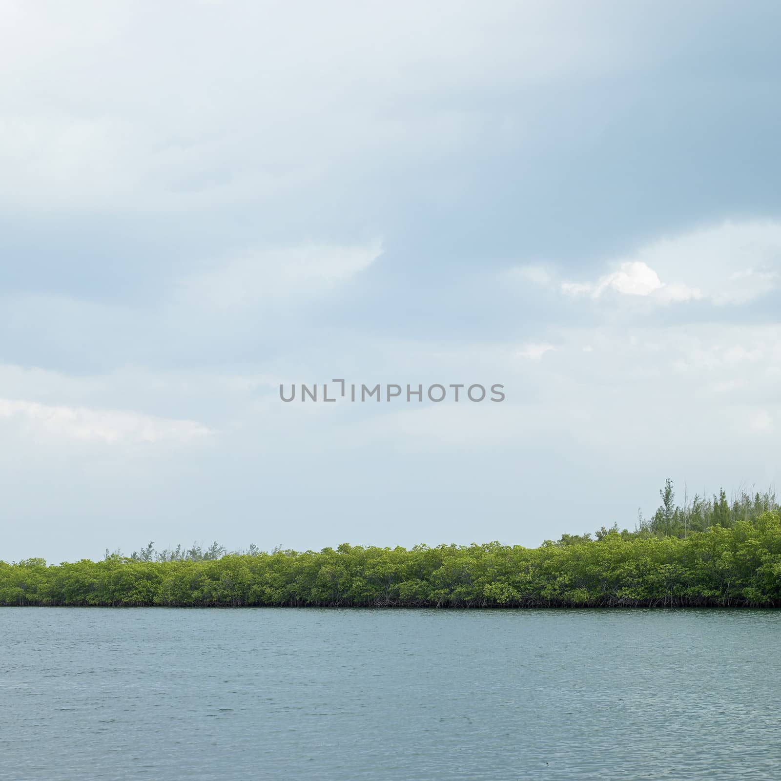 green island in the water