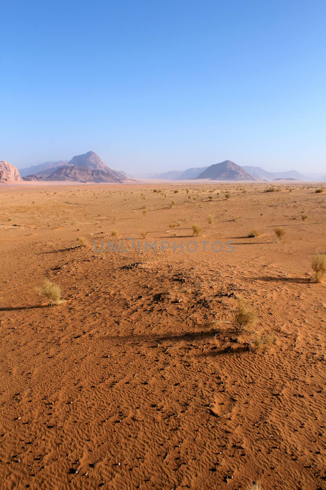 Sand pattern and beautiful landscape of the wadi rum desert in Jordan 