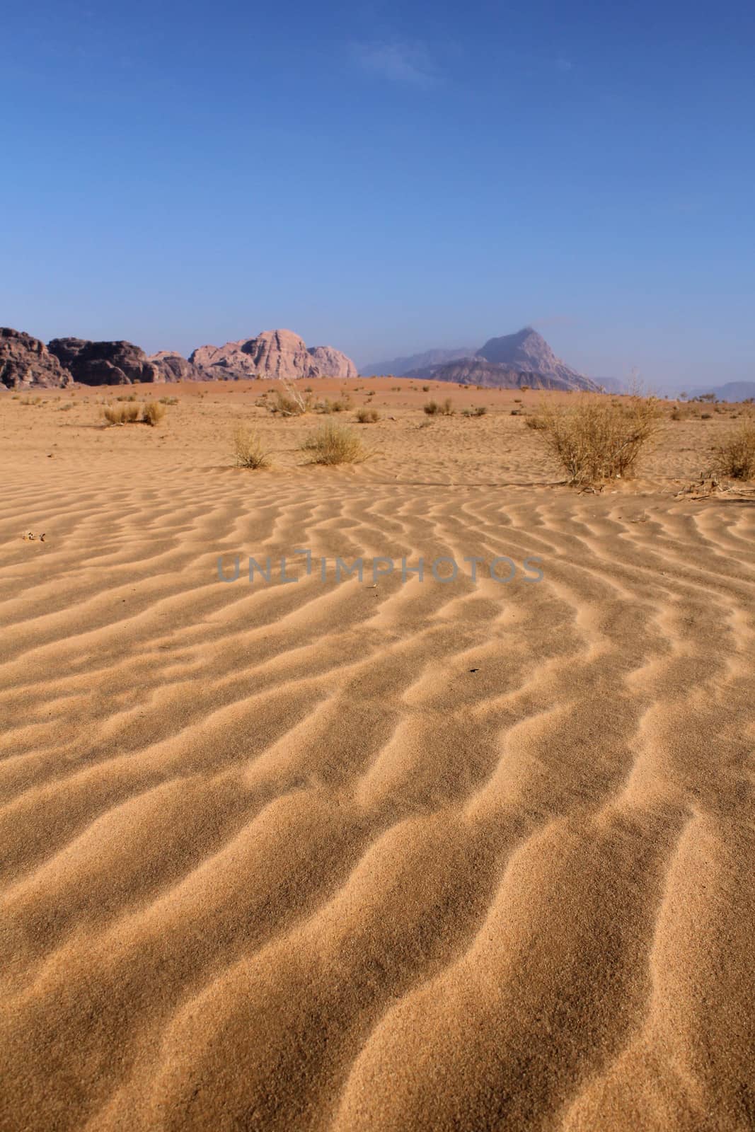Sand pattern and beautiful landscape of the wadi rum desert in Jordan 