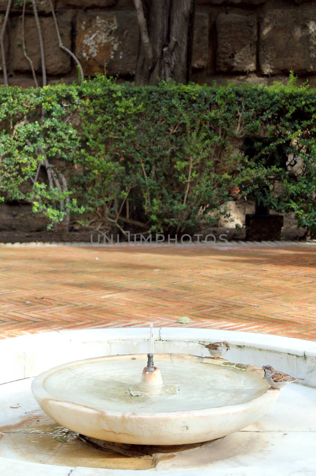 Water feature at the Real Alcazar Moorish Palace in Seville, Spain