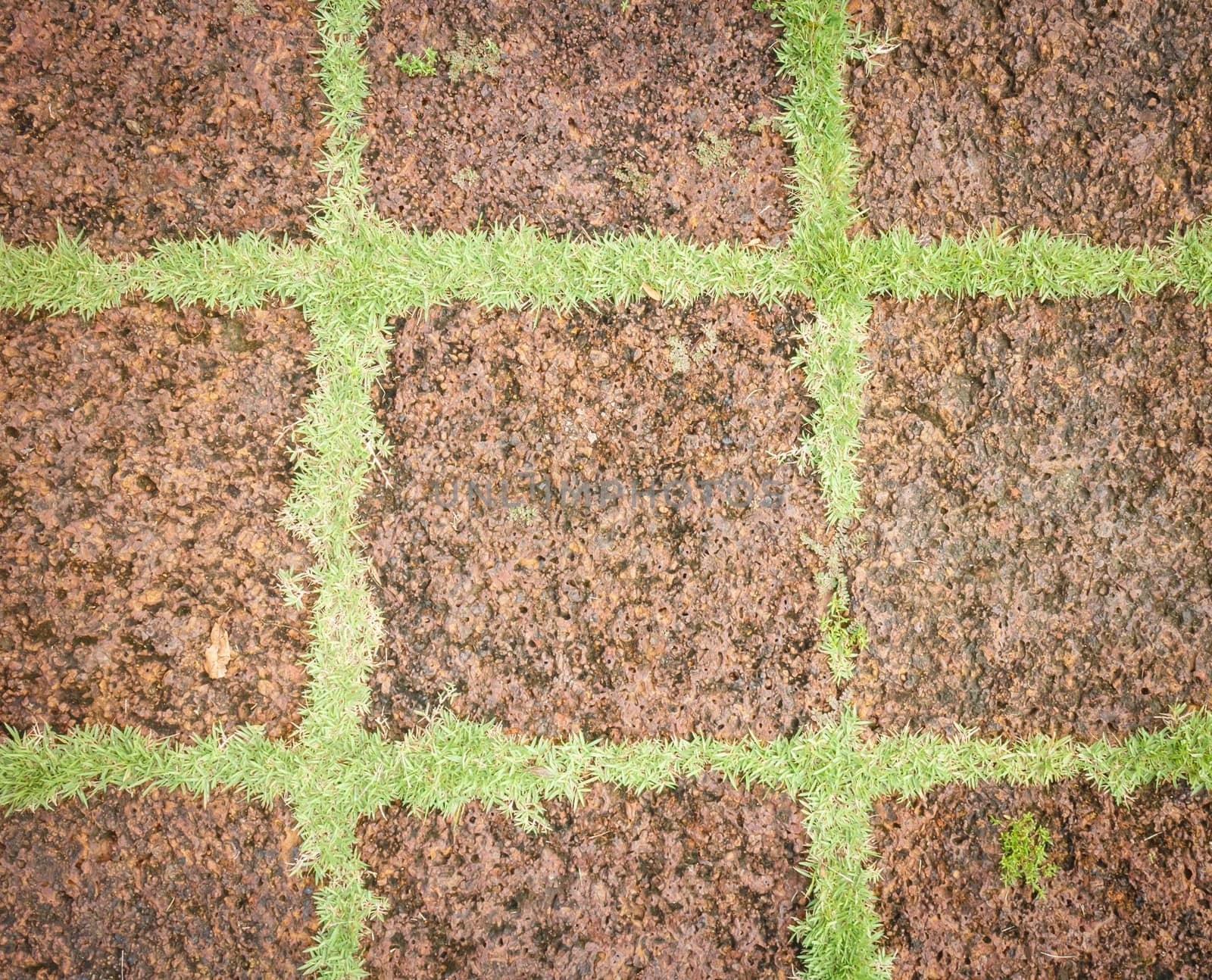 laterite Walkway