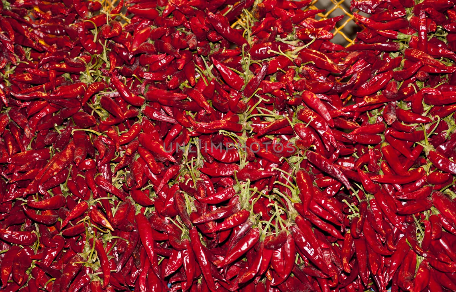red chillies by sssanchez