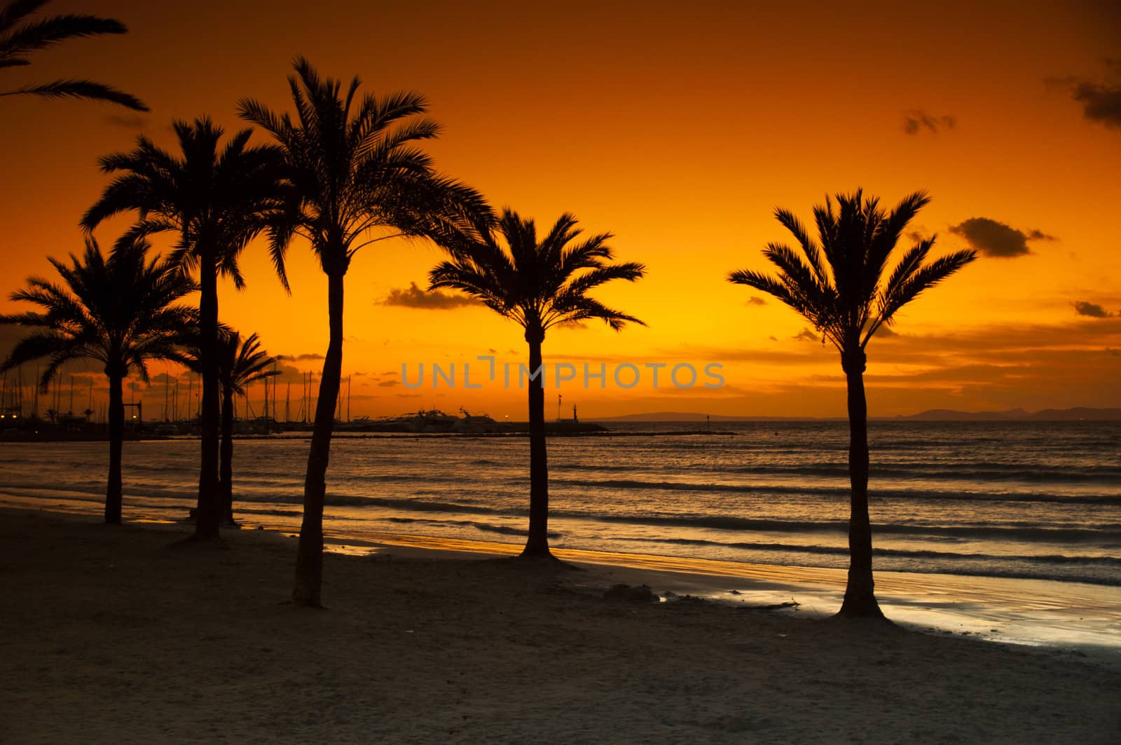 Sunset on the arenal beach on the island of Mallorca in Spain