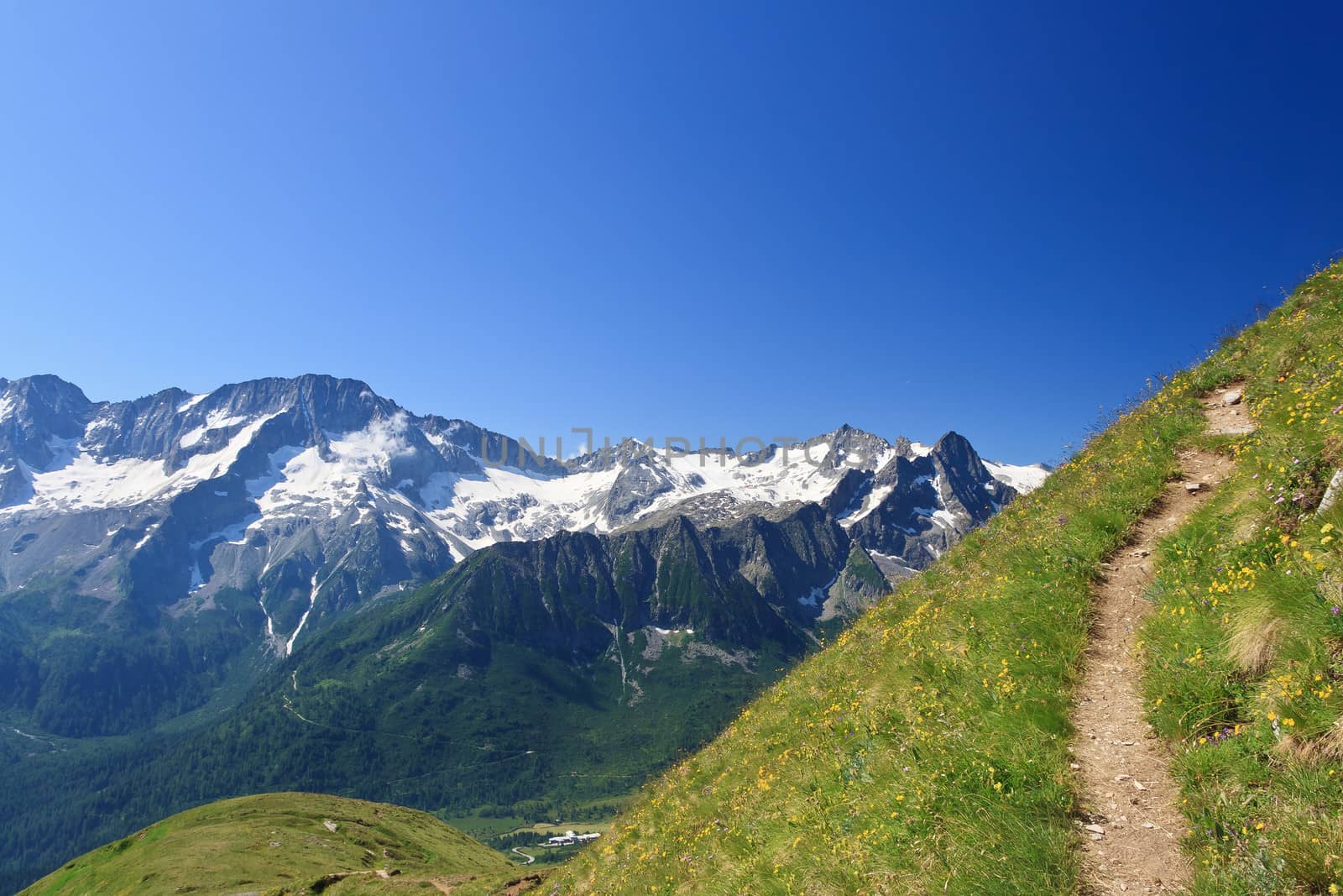 alpine path in summer over Tonale pass. On the background Presena mountain, Trentino, Italy