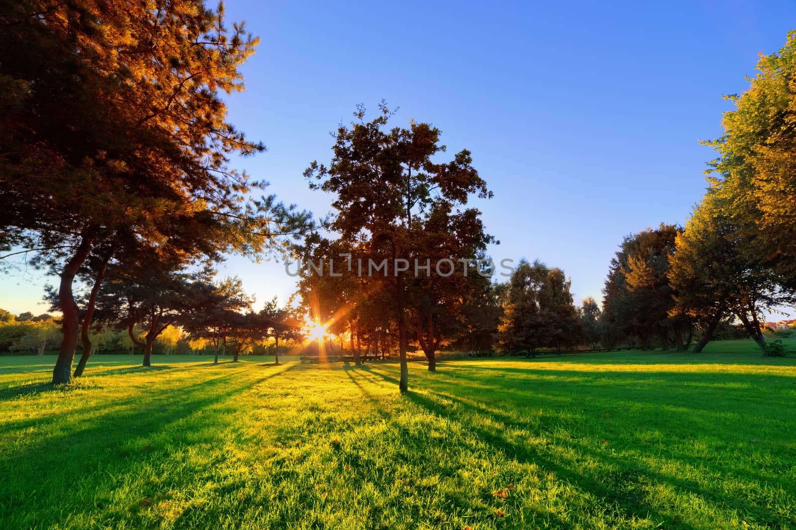 Late summer, autumn sunset in a park by photocreo