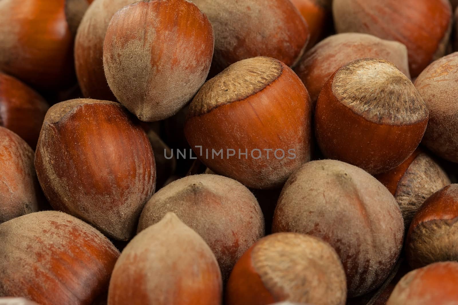 ripe whole hazelnuts macro closeup abstract background