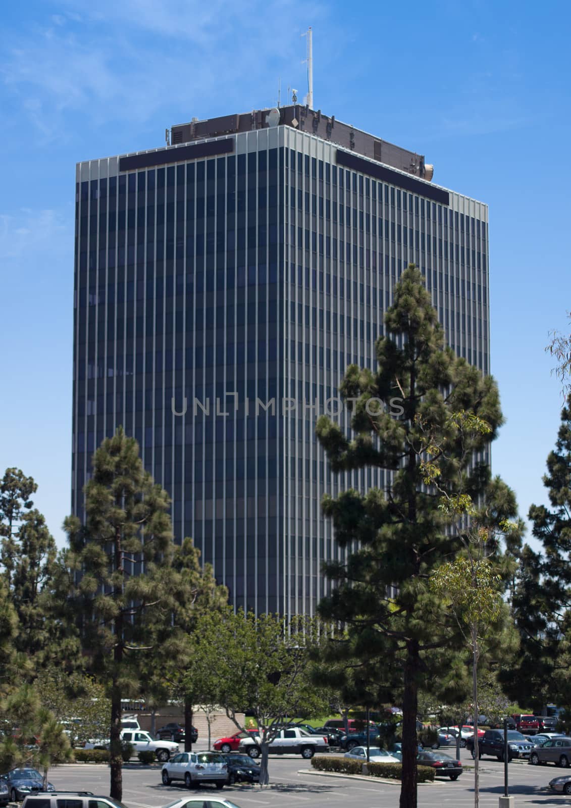 A multi floored office building with verticle lines is the primnary focus of this photo. The skyscraper has pine trees and a parking lot in the foreground.