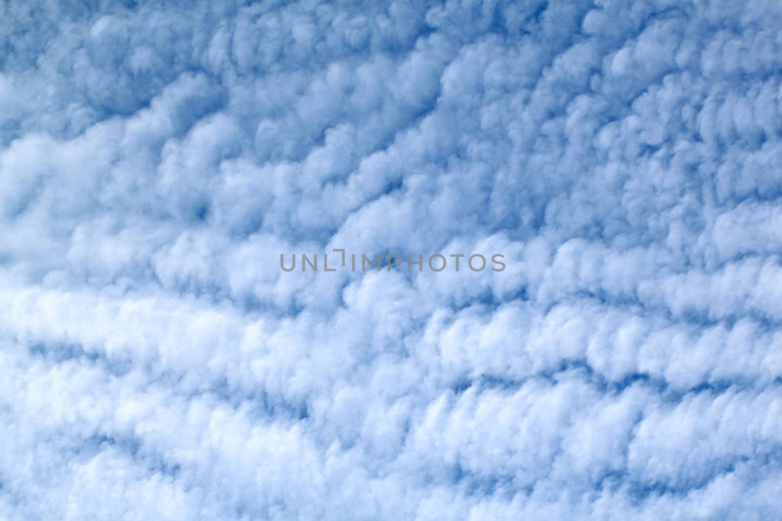 White feather clouds in the sky