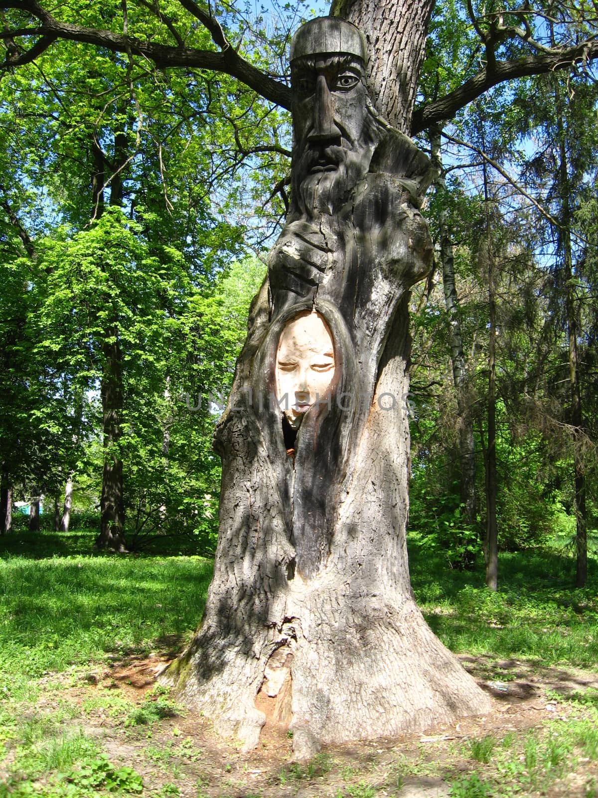 image of huge old oak with a wooden sculpture in it