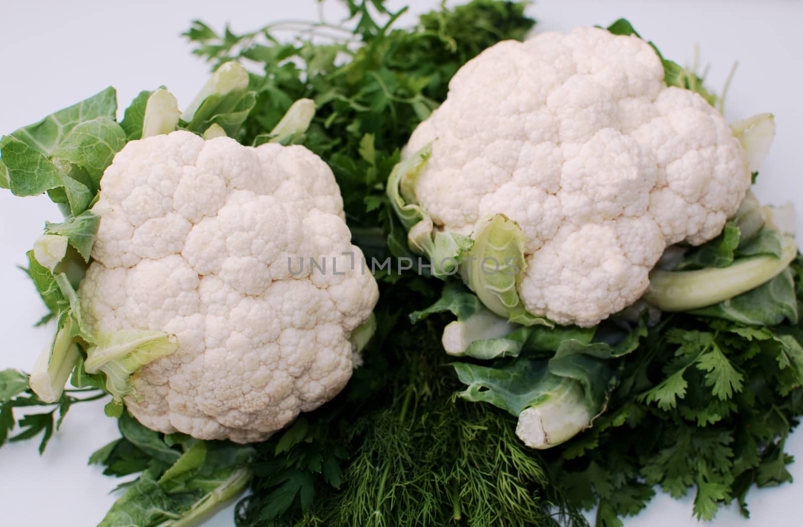 Freshly cut  cauliflower cabbage , parsley , dill  ,cilantroisolated on white .