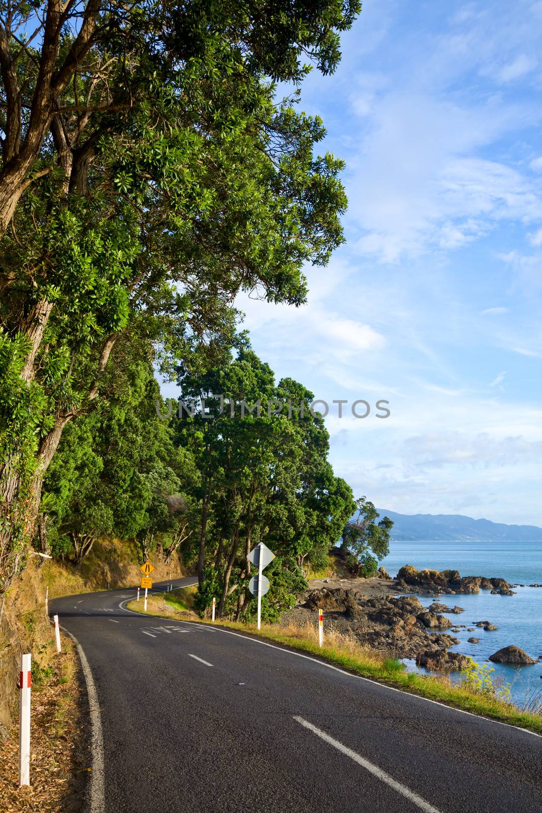 Sunny coastline road by naumoid