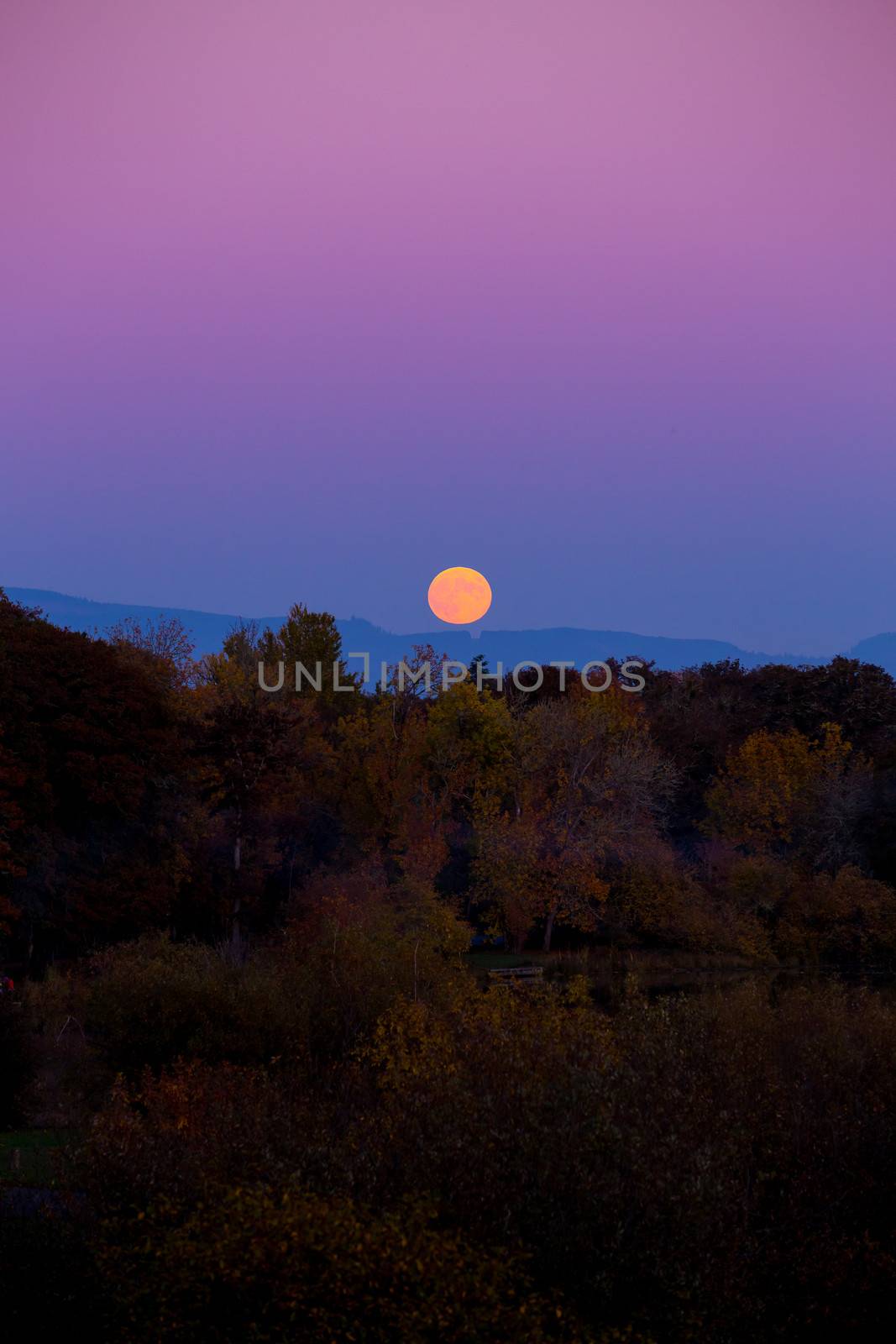 Moonrise in the Fall by joshuaraineyphotography