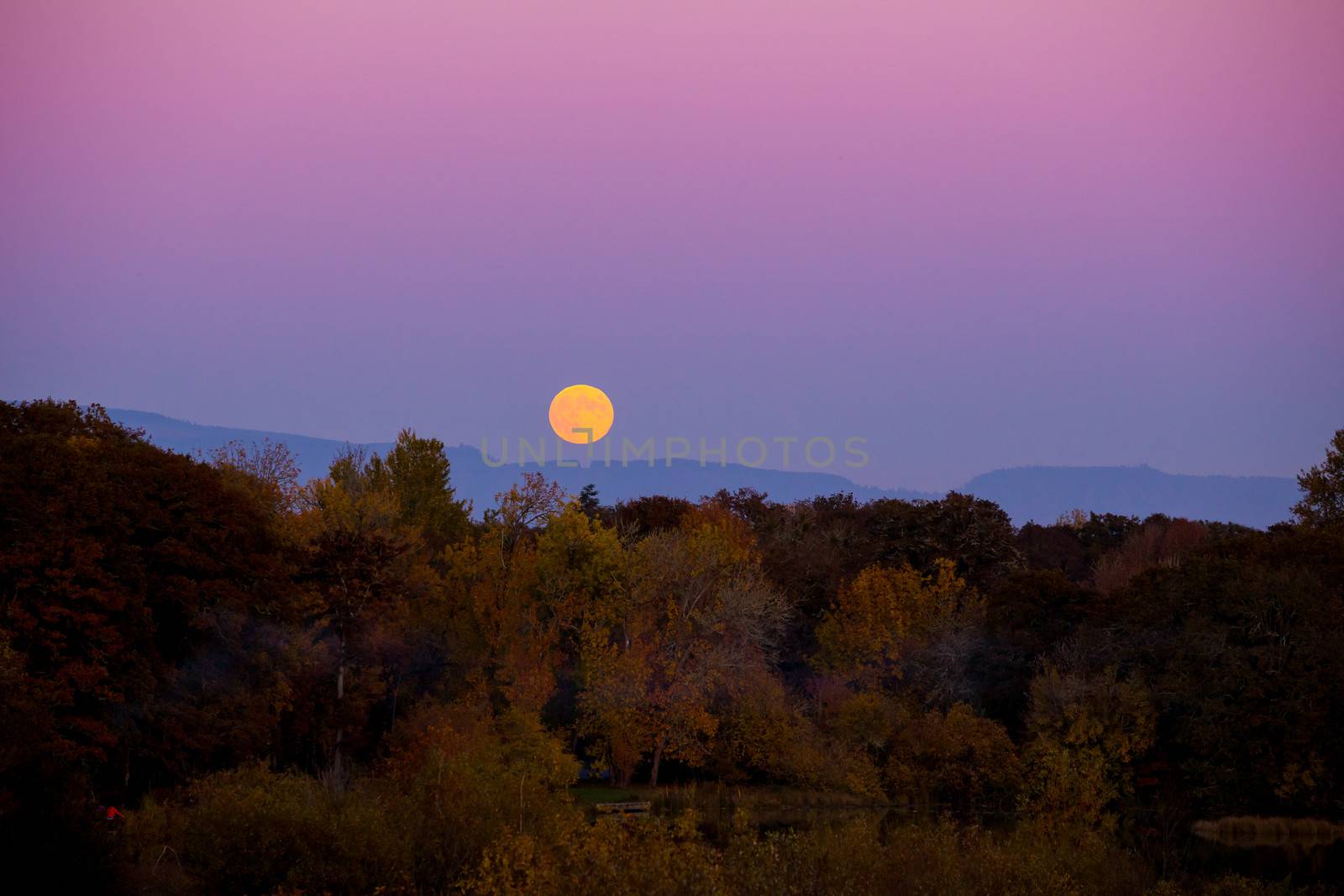 Moonrise in the Fall by joshuaraineyphotography