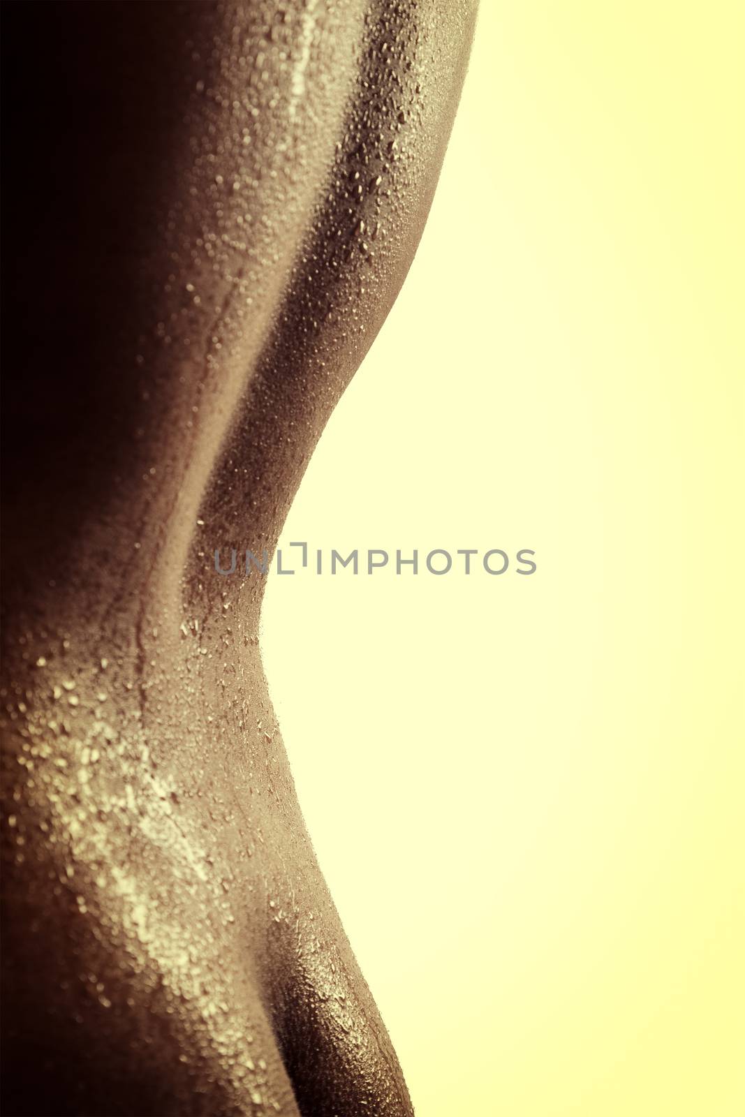 Tempting silhouette of sexy indian female by ziprashantzi