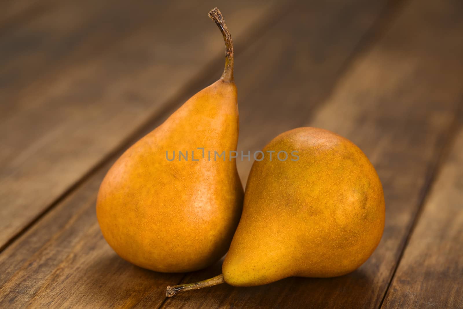 Two ripe Bosc pears on dark wood (Selective Focus, Focus on the front of the pears)