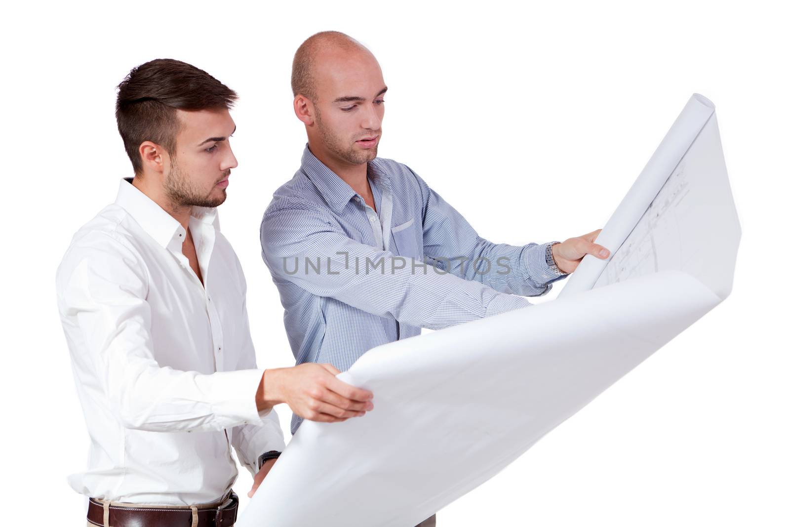 young adult businessman architect with blueprint portrait isolated