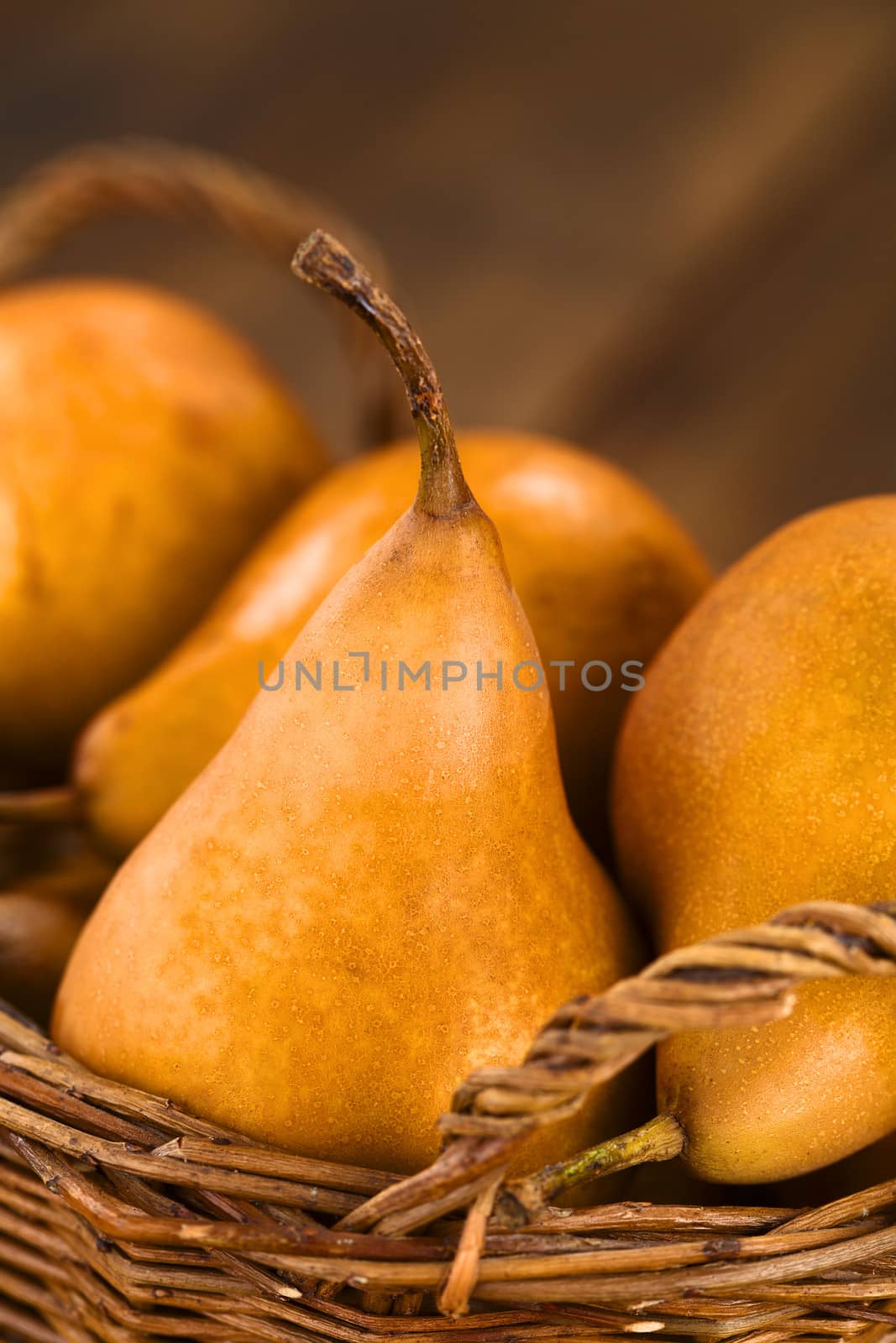 Ripe Bosc pears in Basket (Selective Focus, Focus on the front of the pear on the left)