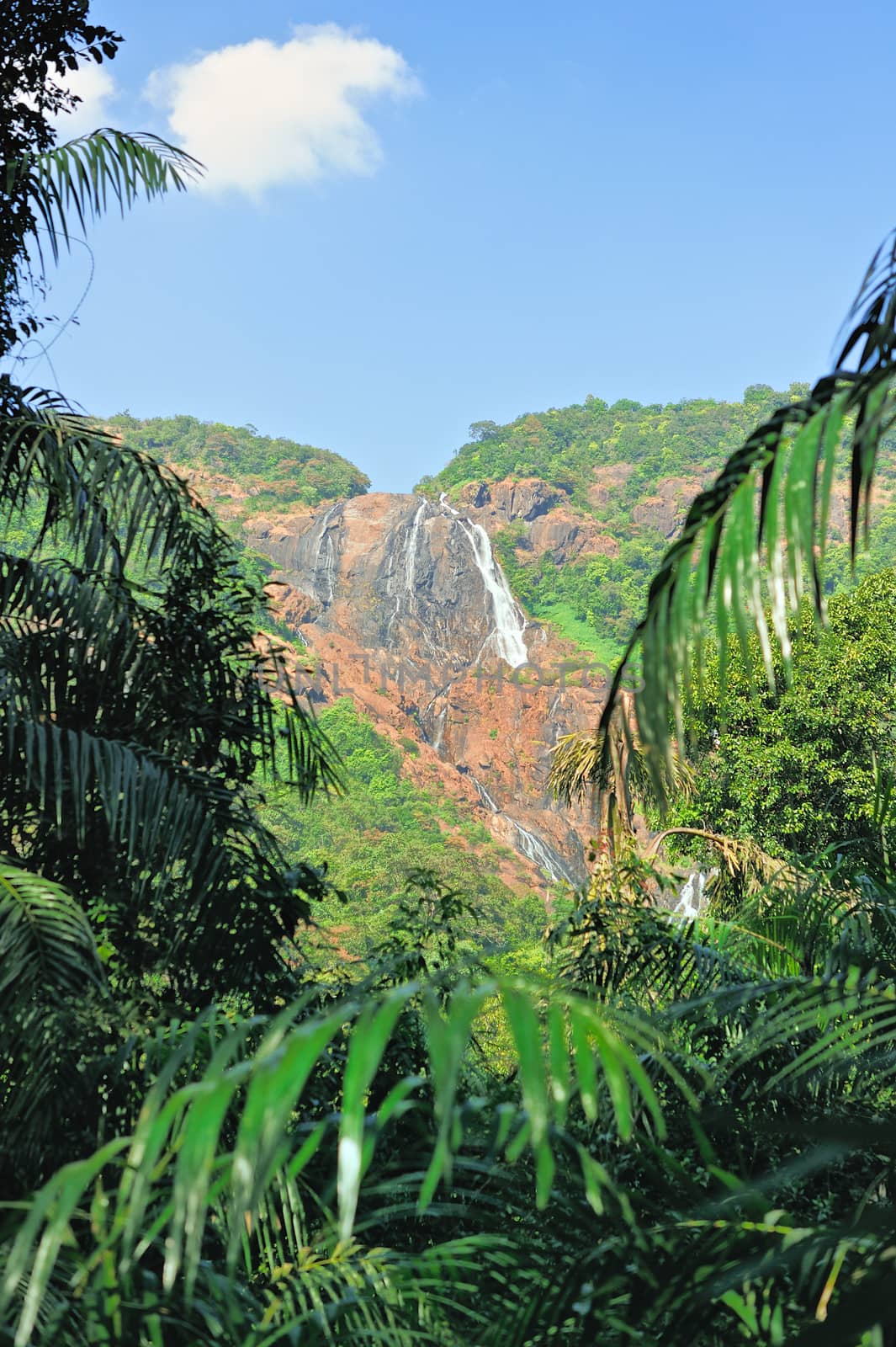 Waterfall Dudhsagar in Goa. Indian National Park