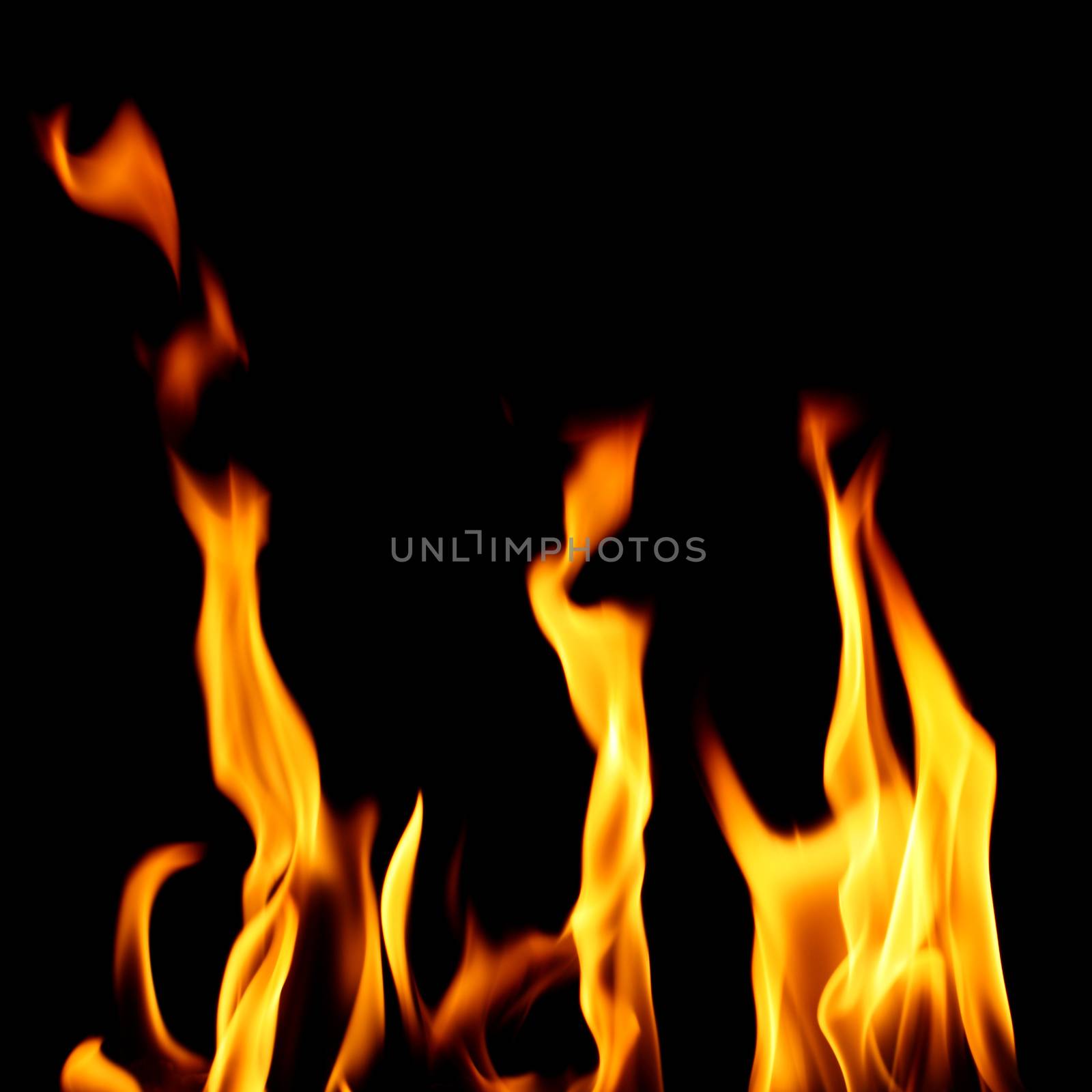 inferno flame fire on black background close up