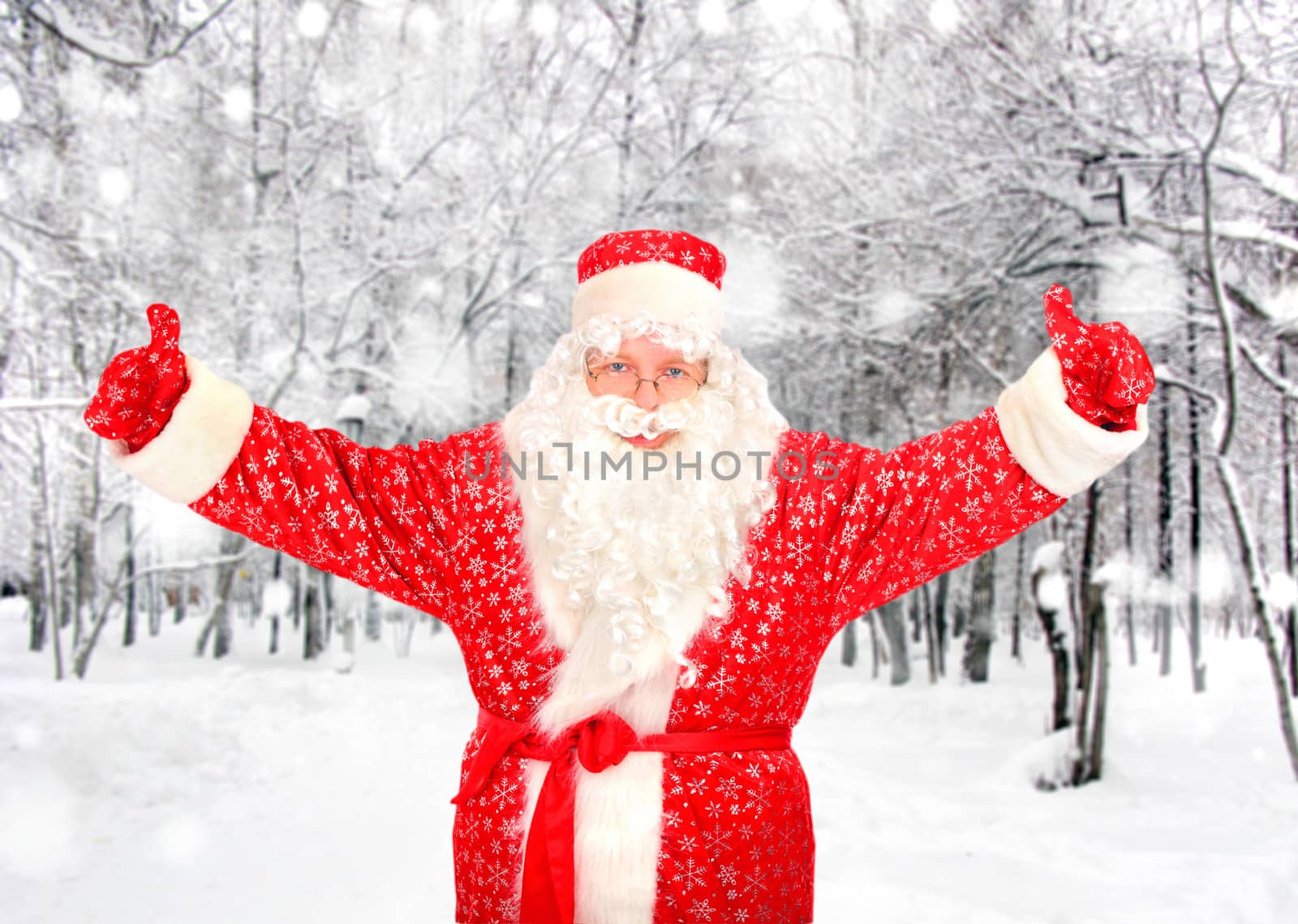 Happy Santa Claus in the Winter Forest