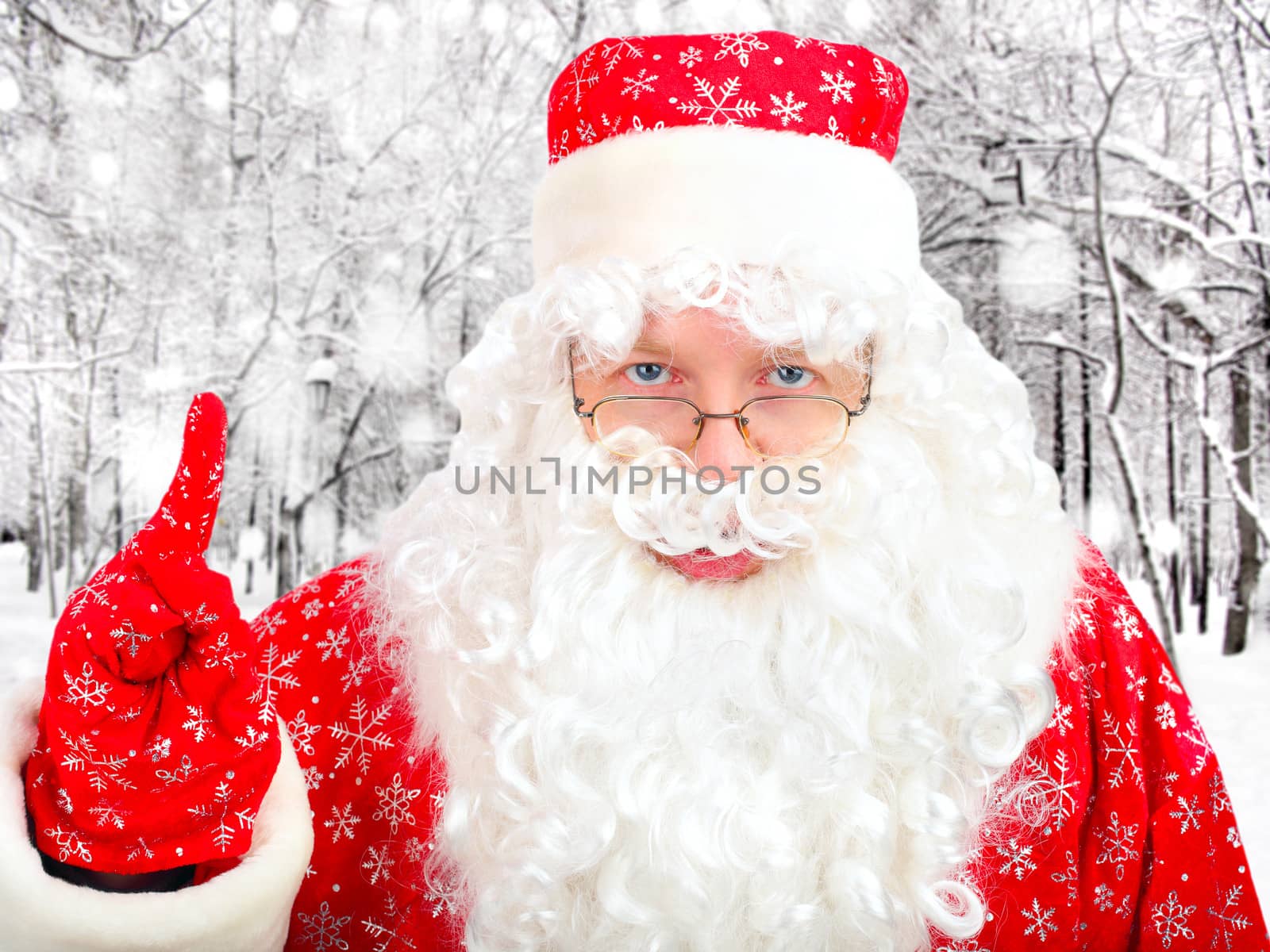 Santa Claus in the Winter Forest