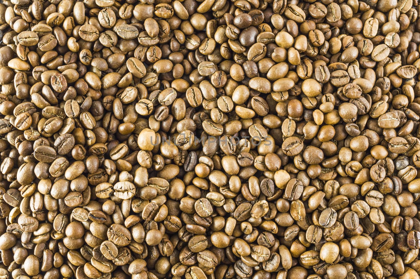 Roosted coffee beans background