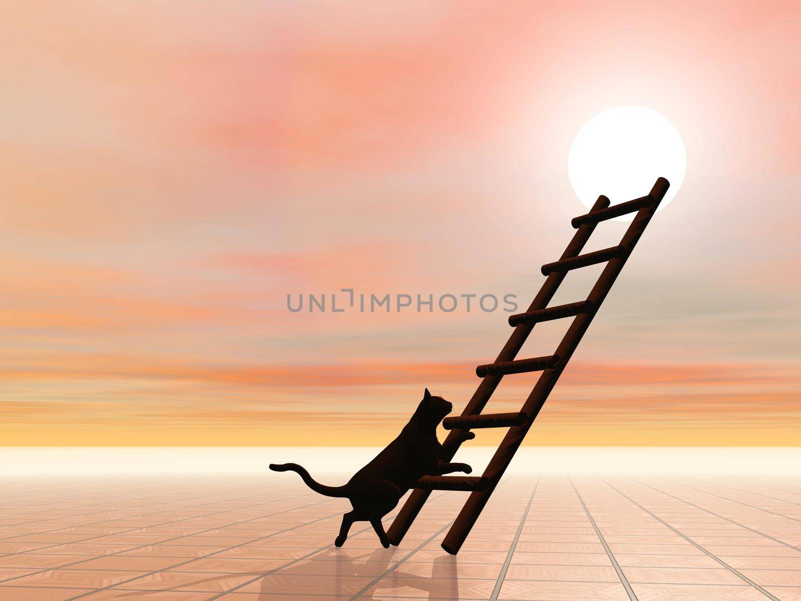 Black silhouette of cat walking towards a ladder leading to the sun