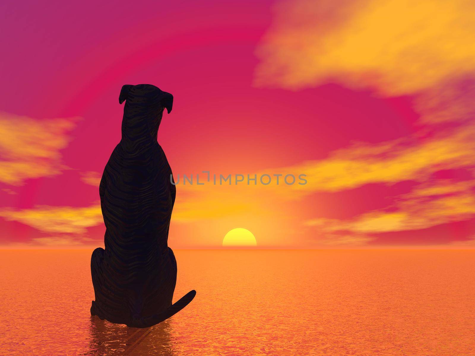 Black silhouette of a dog sitting and looking at the beautiful red sunset