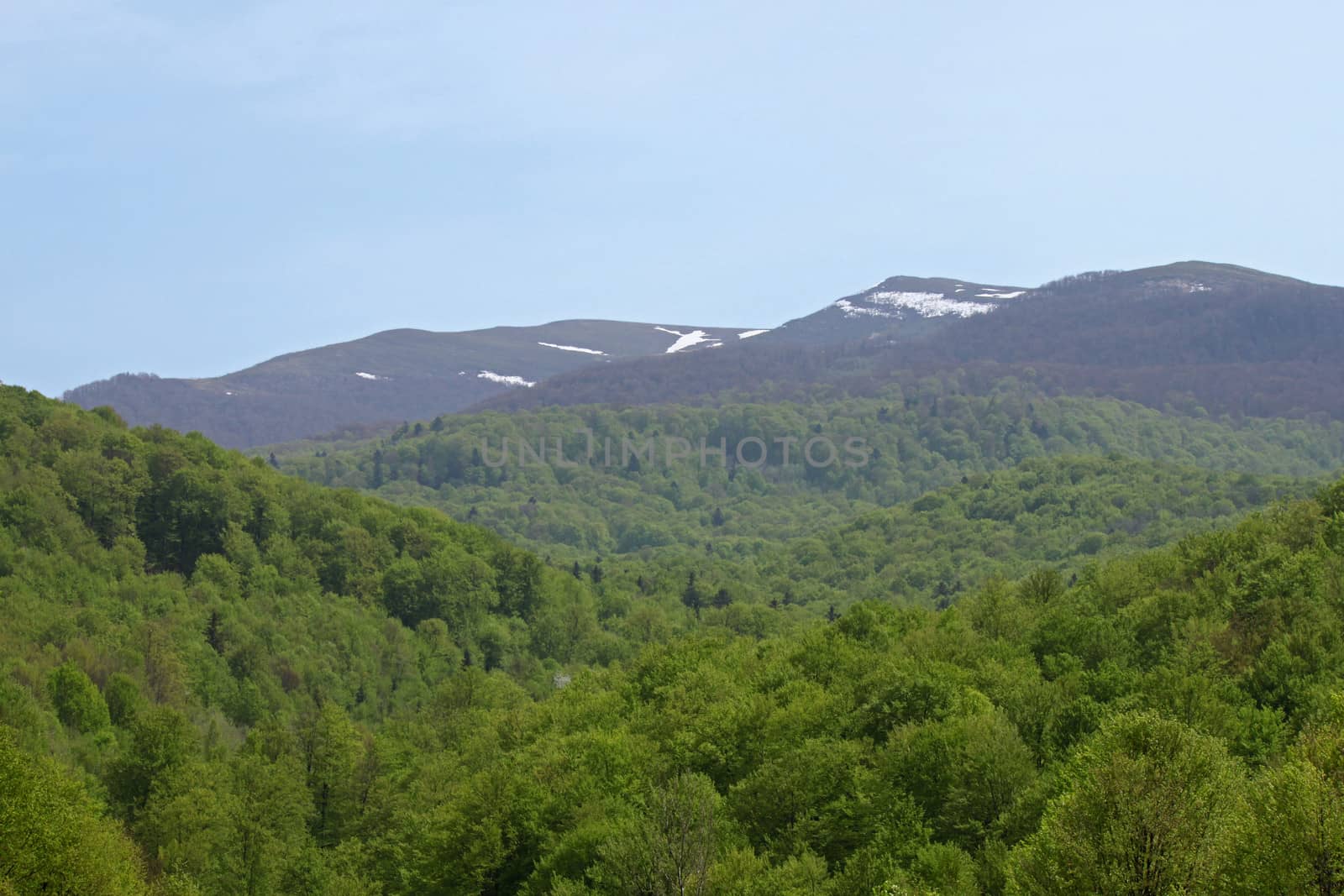 Carpathian mountains landscape at spring