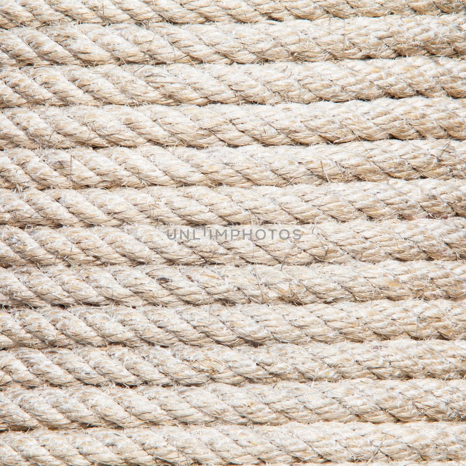 manila rope background