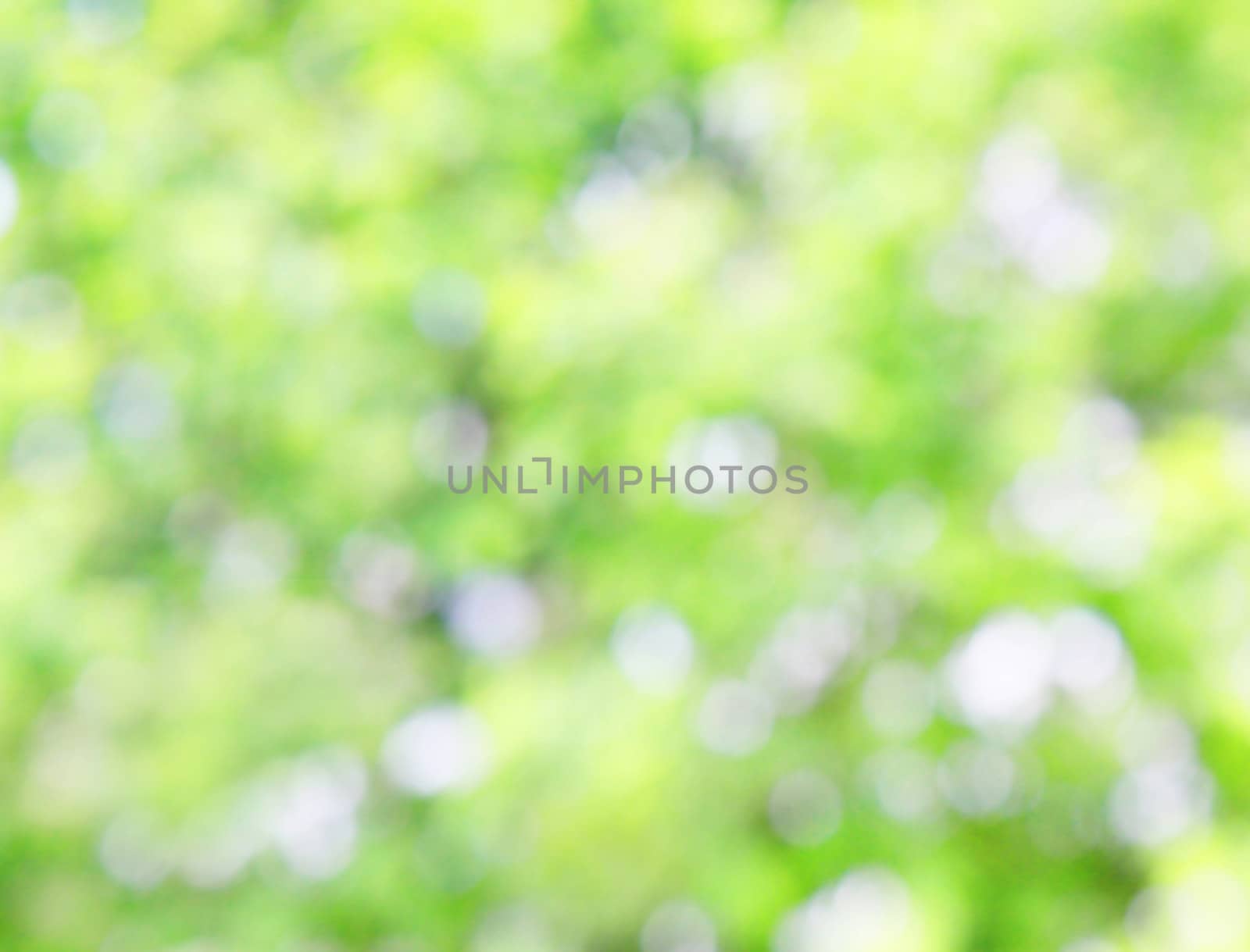 natural green background 