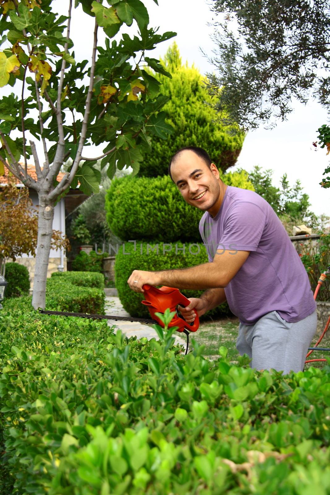 man pruning shrub in garden with electrical pruning tool
