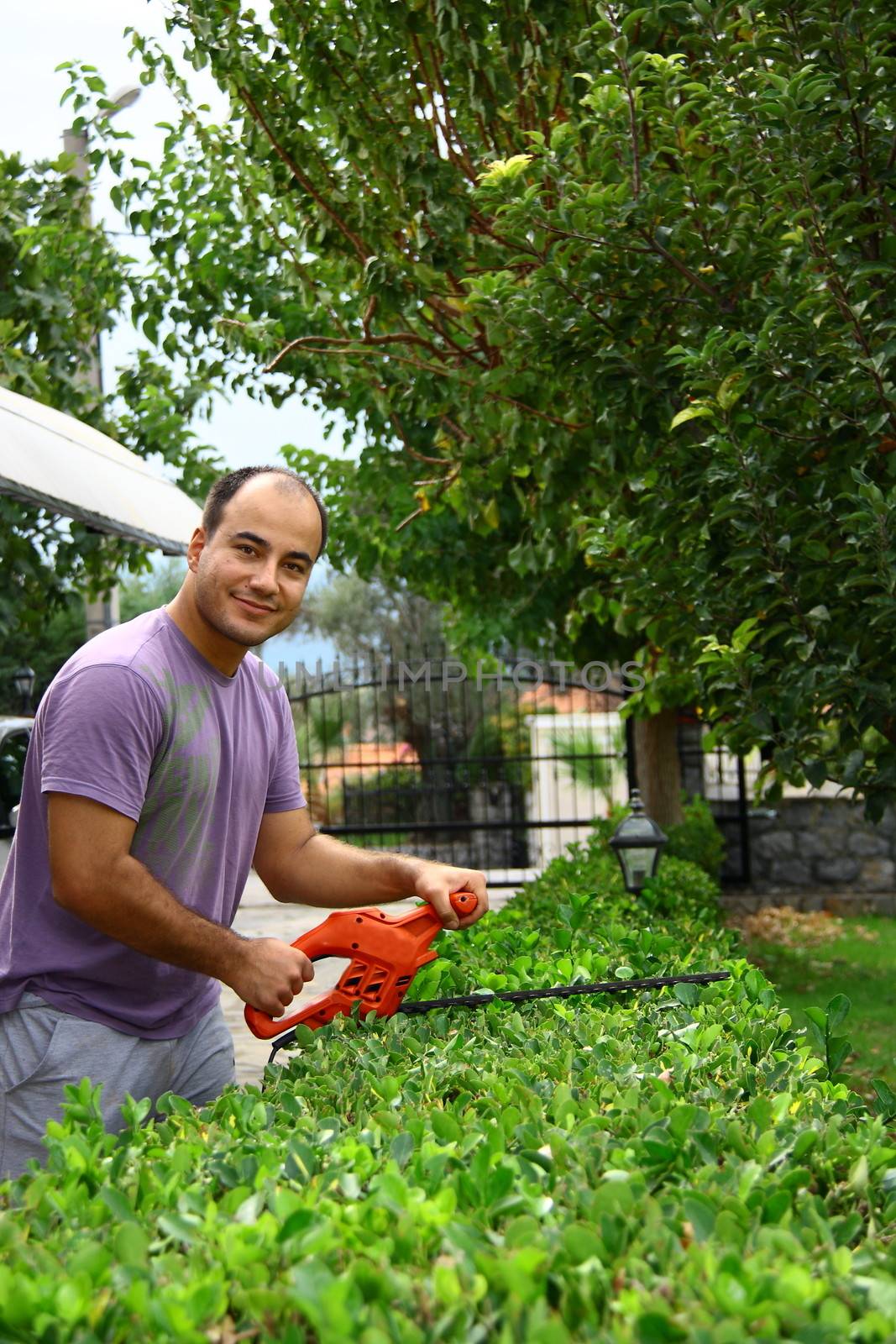 man pruning shrub in garden with electrical pruning tool
