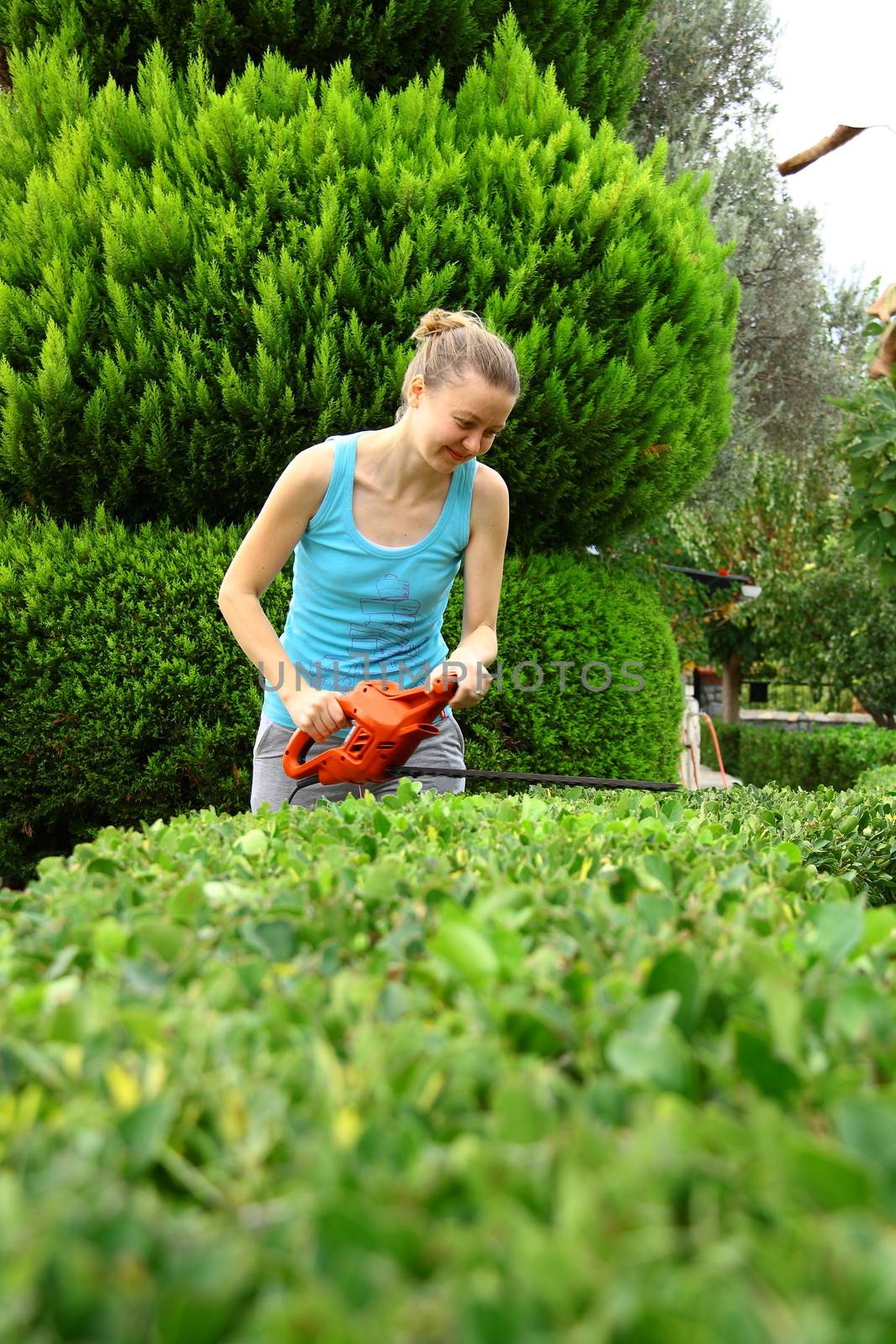woman pruning shrub with tool in garden by mturhanlar