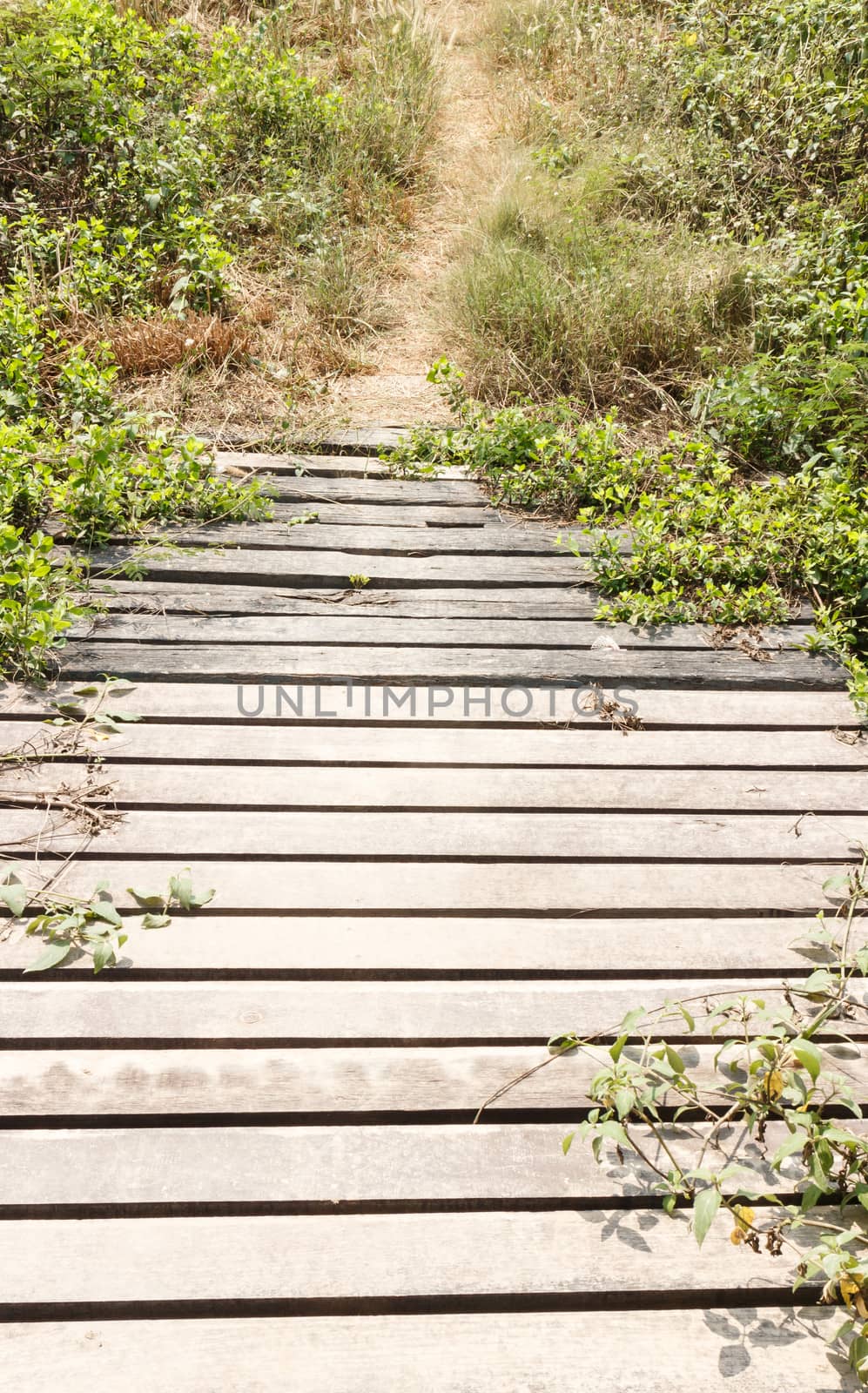 Old wooden bridge