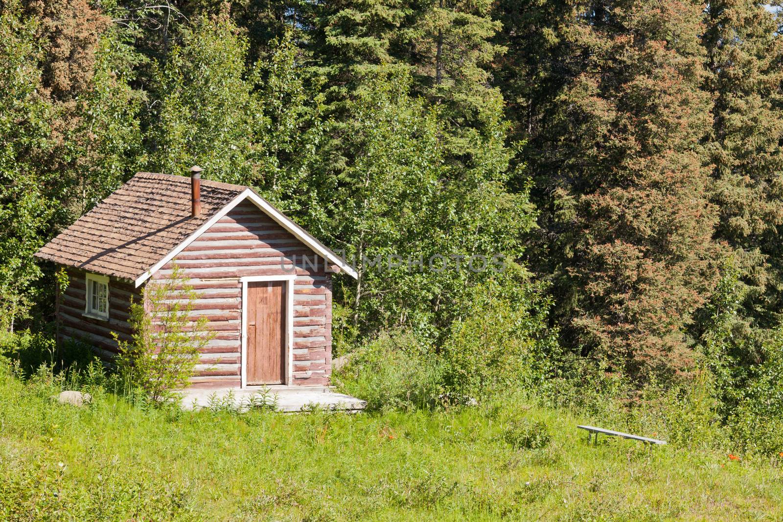 Old solid rural log cabin shelter standing in clearing at the edge of a lush green forest perfect as a peaceful getaway