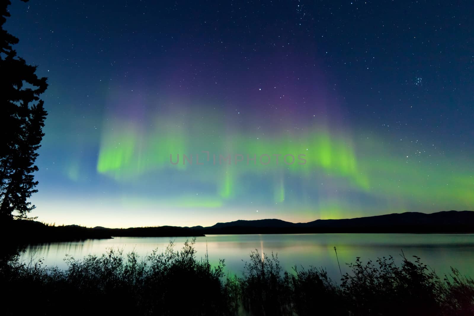 Dancing Northern lights Aurora borealis in summer over northern horizon of Lake Laberge Yukon Territory Canada at early dawn