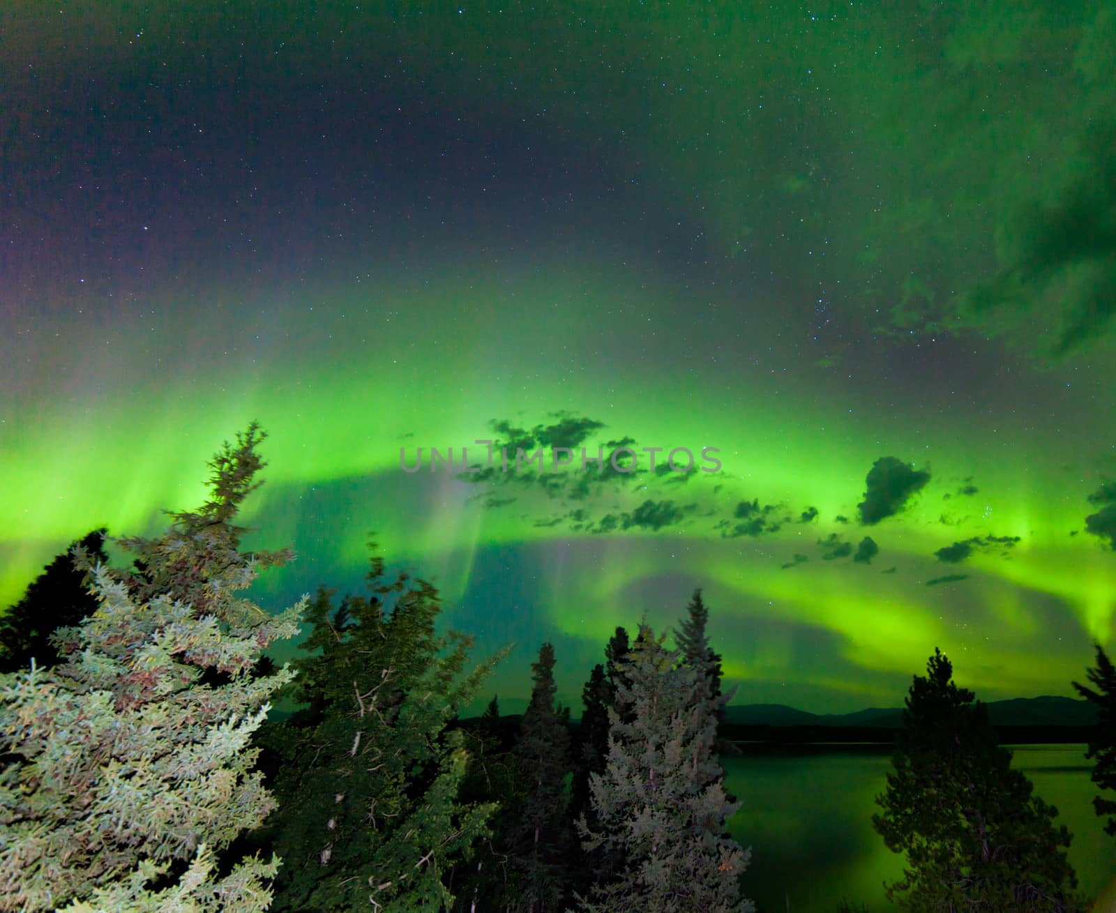 Intense green Aurora borealis over boreal forest by PiLens