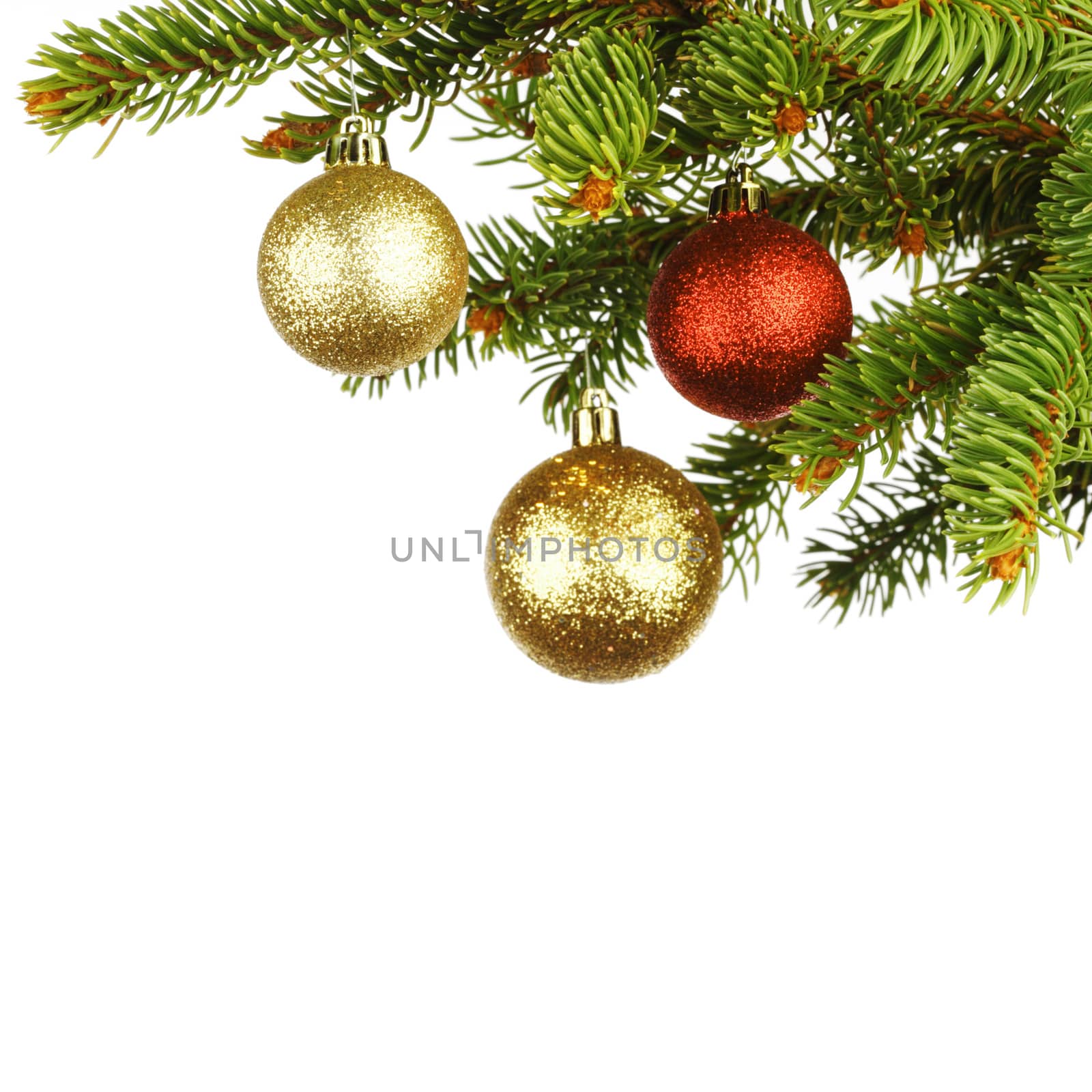 Christmas decoration on fir branch  isolated on white background