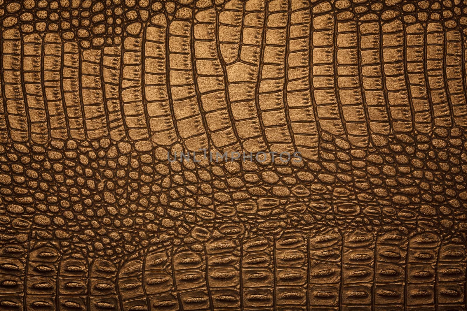 black crocodile skin texture