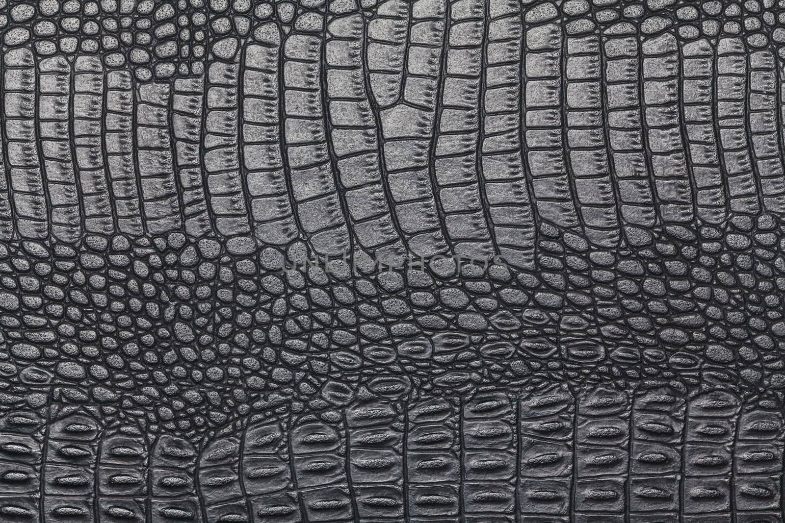 black crocodile skin texture