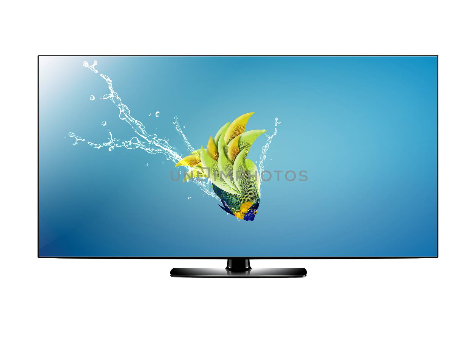 Black LCD tv screen and fish with water splash . (with clipping work path)