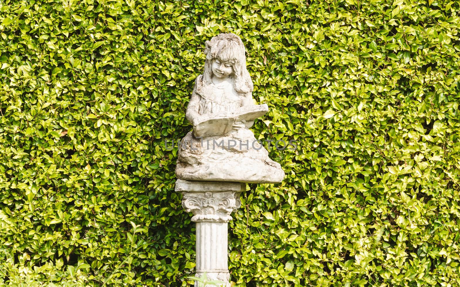 statue in the gardens