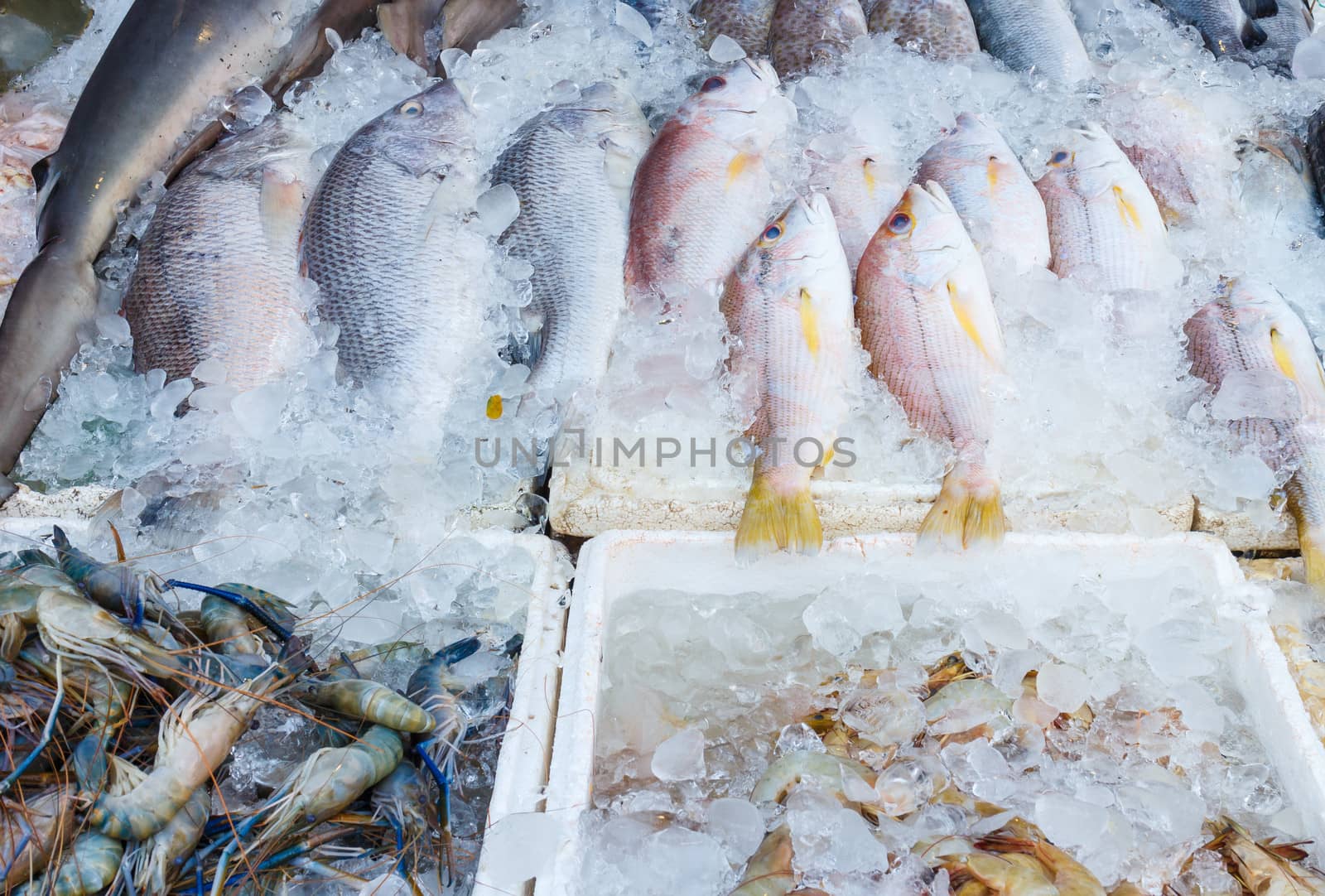 Fresh seafood in market