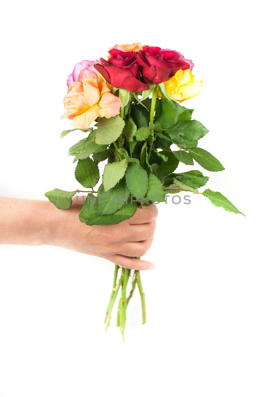 Hand delivering flowers isolated on white