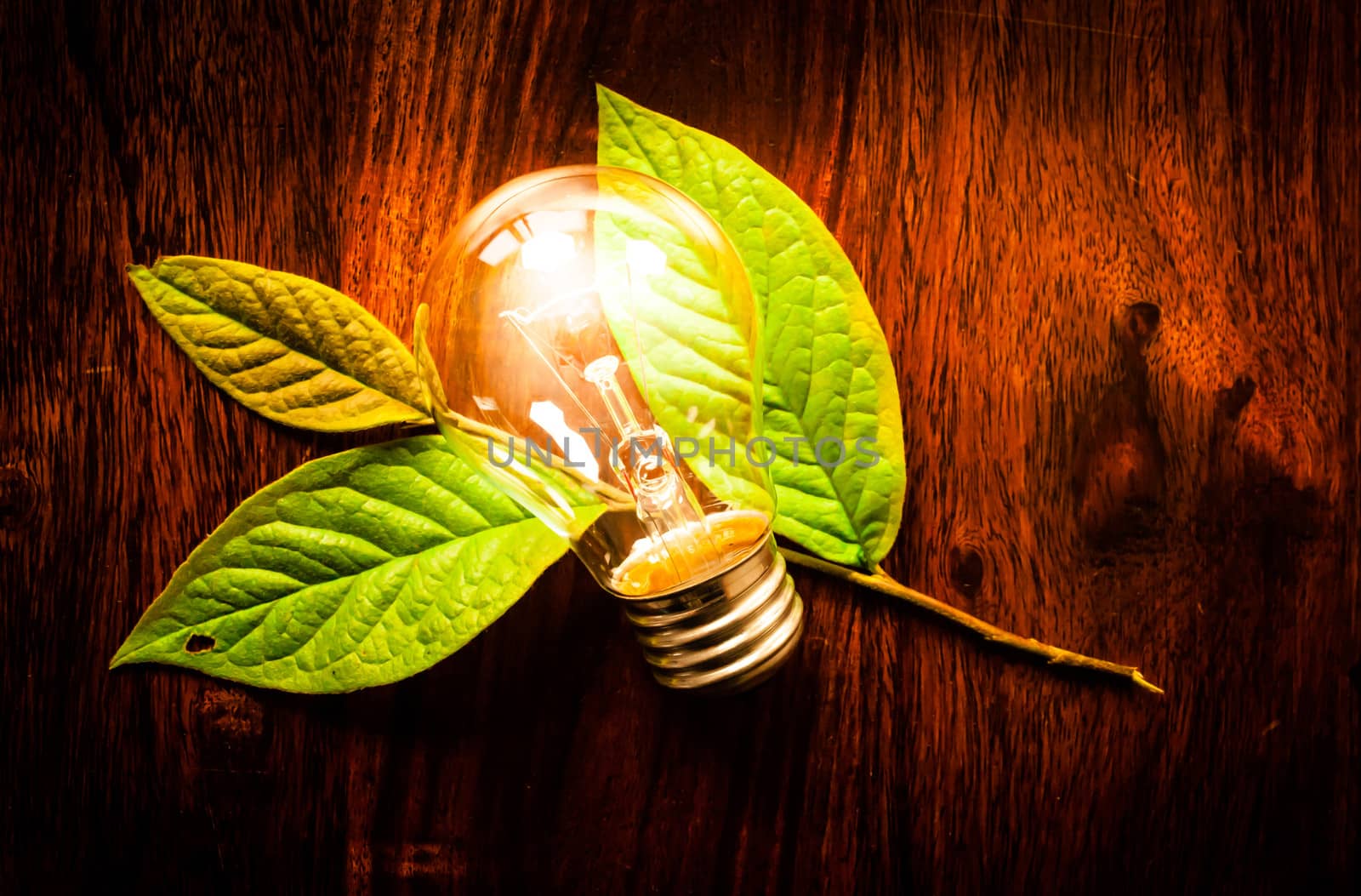 Bright light bulb on green leafs at a wooden table